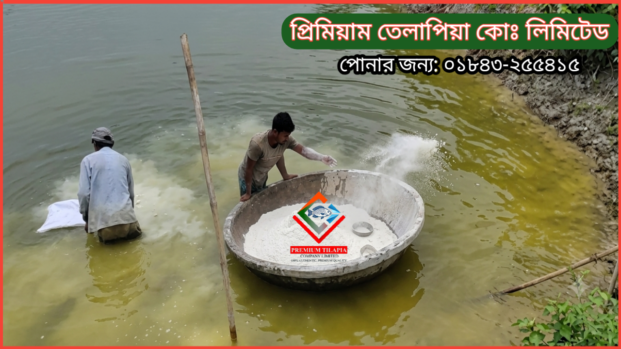 পুকুরে চুন প্রয়োগ করা হয় কেন? 